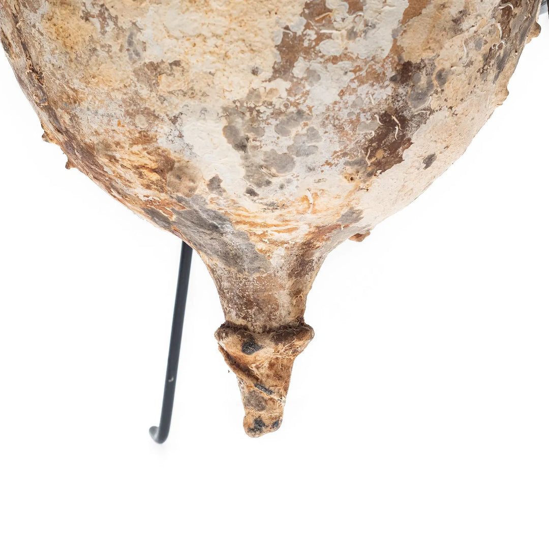 Roman Terracotta Transport Amphora