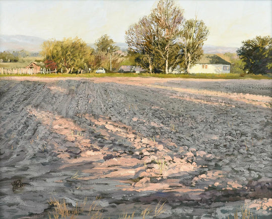Plowed Field by Valoy Eaton
