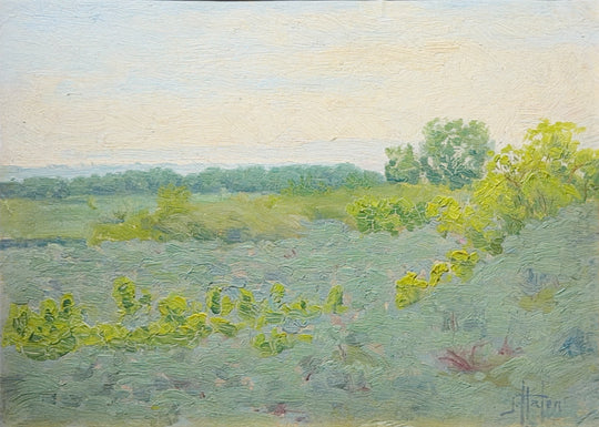 Spring Landscape by John Hafen