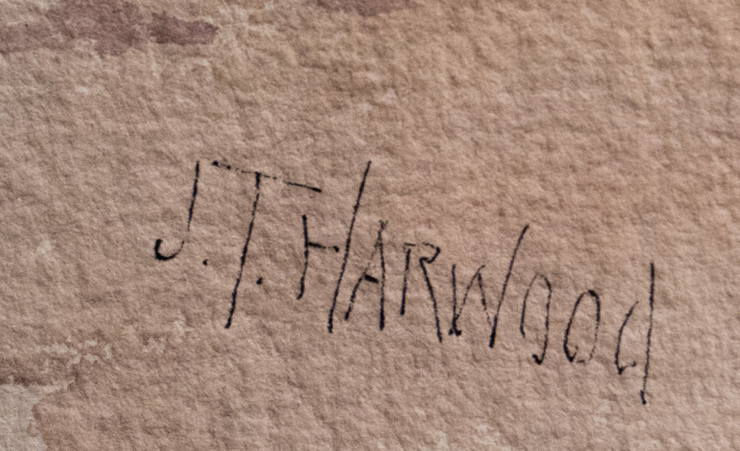 J. T. Harwood's Backyard by J. T. Harwood