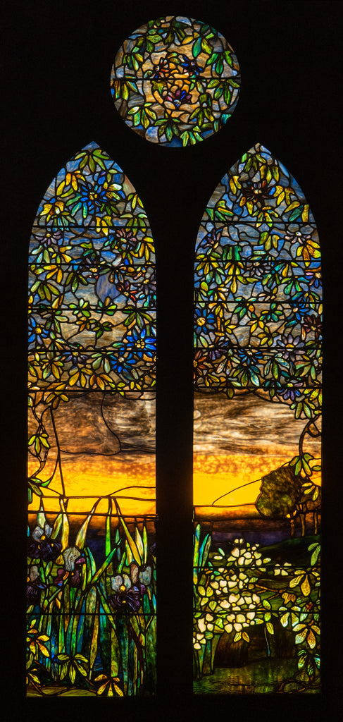 DSC00364_1024x1024.jpg?v=