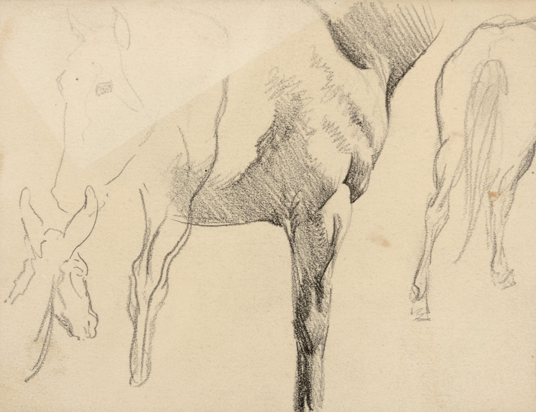 Horse Studies by Maynard Dixon