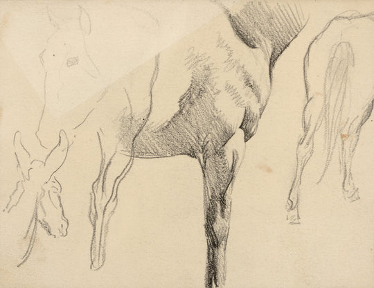 Horse Studies by Maynard Dixon