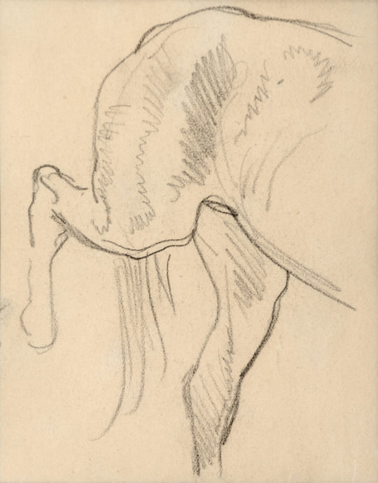 Horse Studies by Maynard Dixon