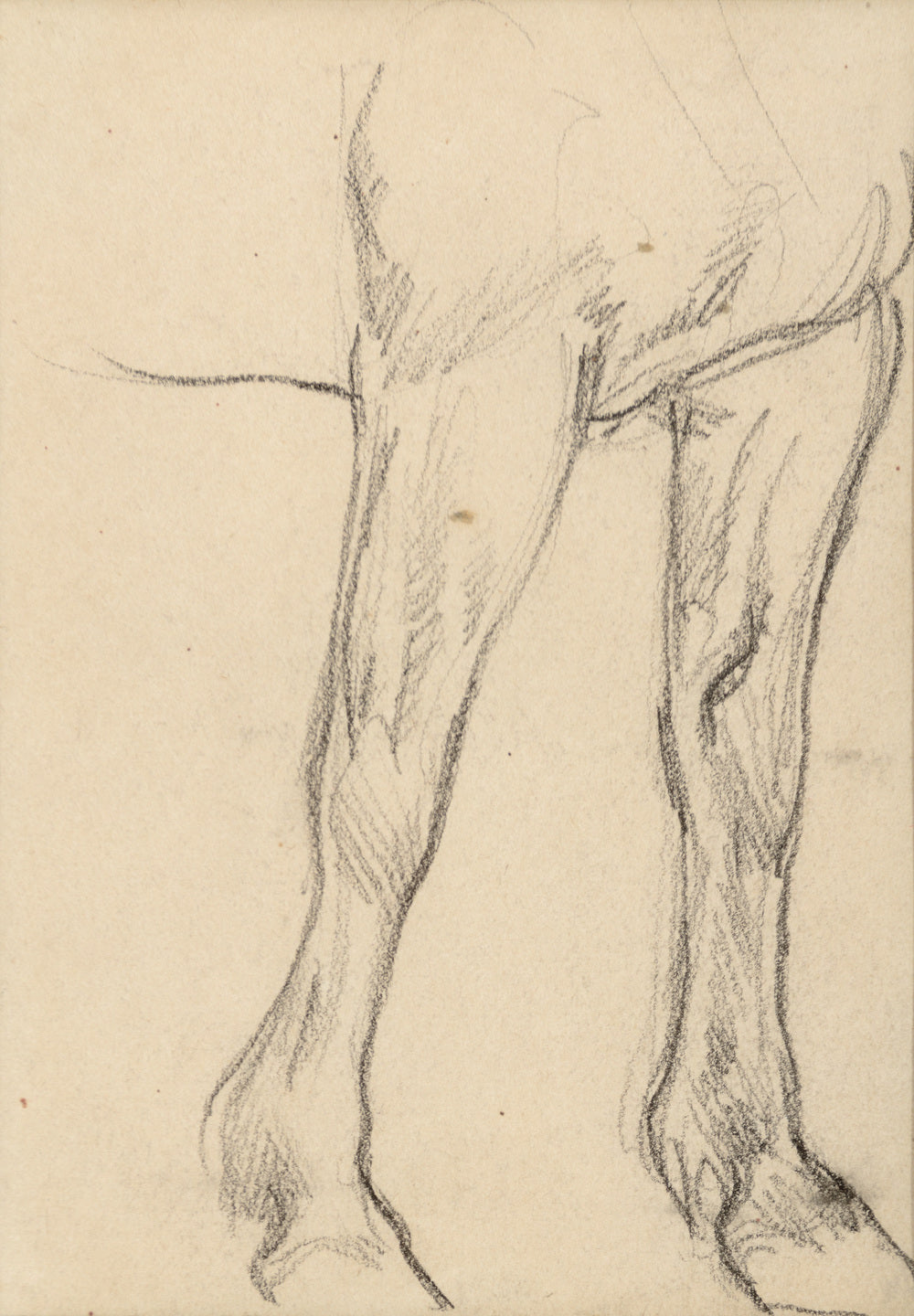 Horse Studies by Maynard Dixon