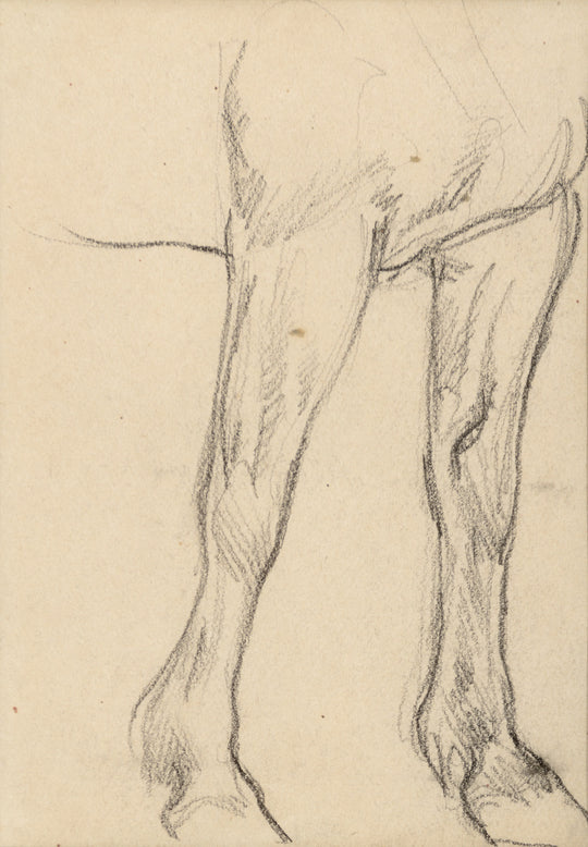 Horse Studies by Maynard Dixon