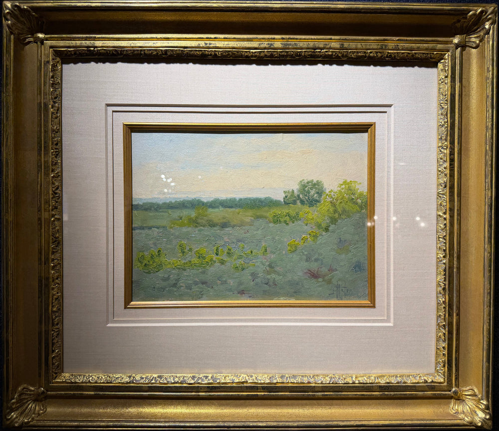 Spring Landscape by John Hafen