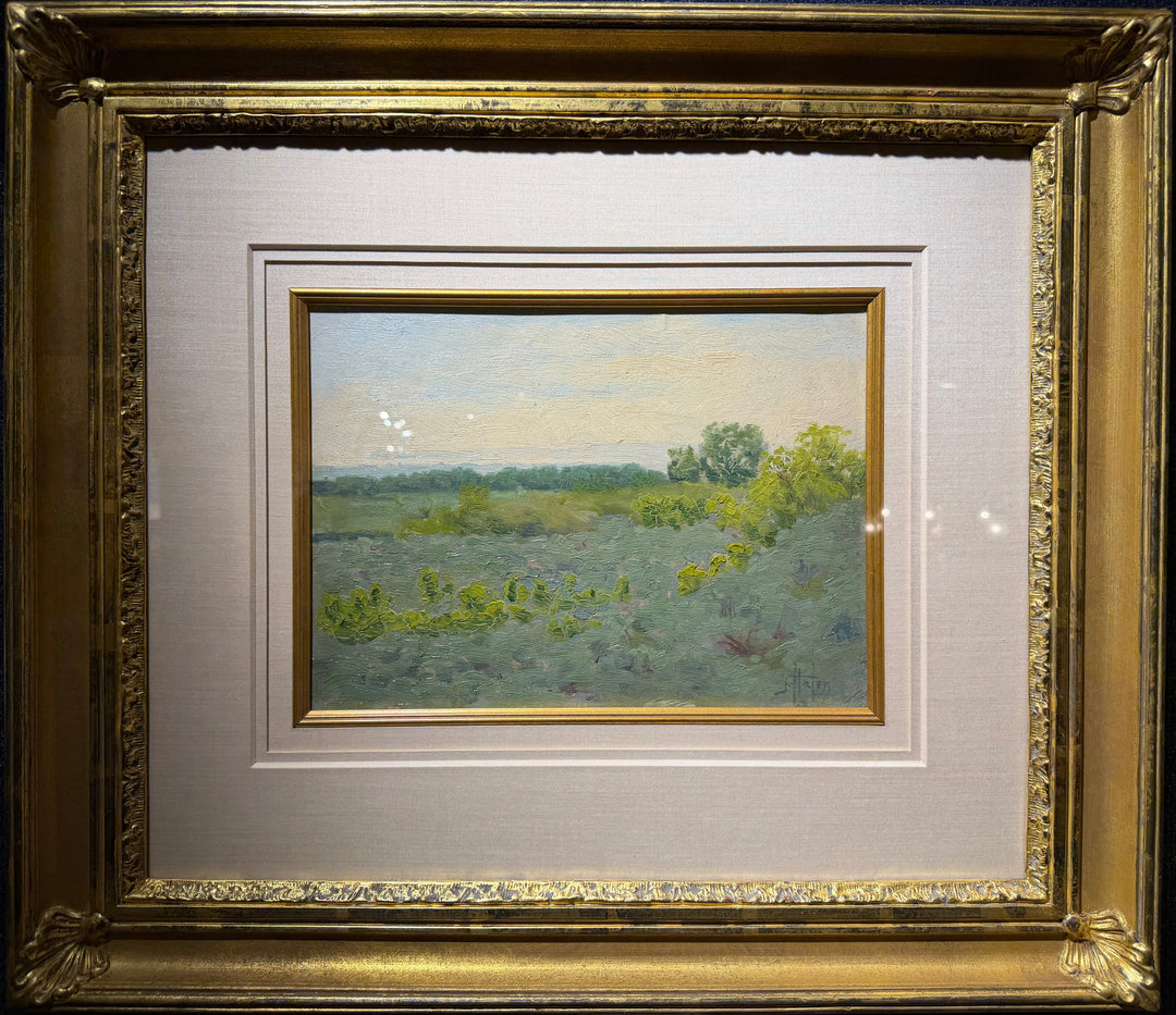 Spring Landscape by John Hafen