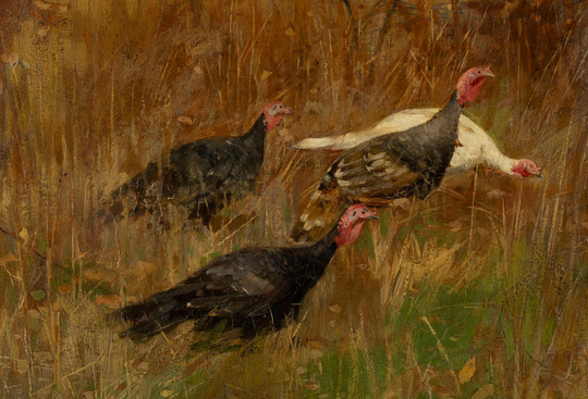 The Turkey Girl by Charles McIlhenney