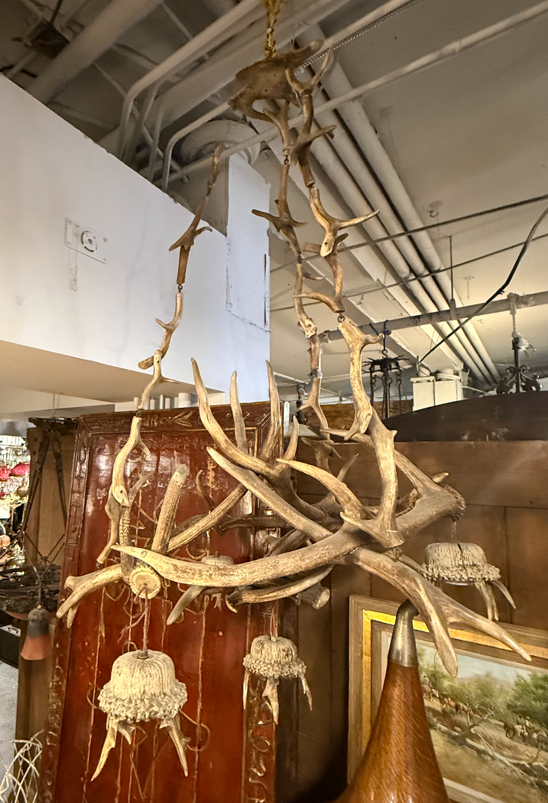 Antler Chandelier
