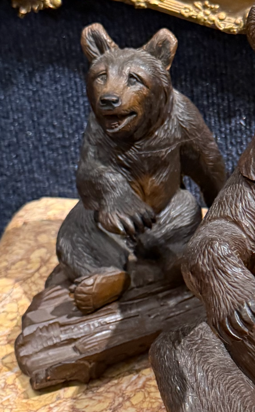 Black Forest Bear Cub