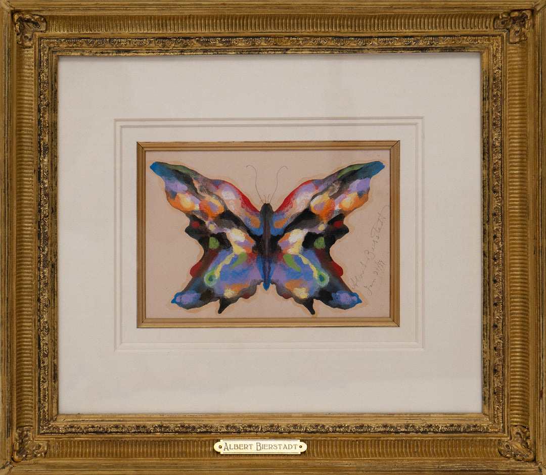 Butterfly, (1899) by Albert Bierstadt