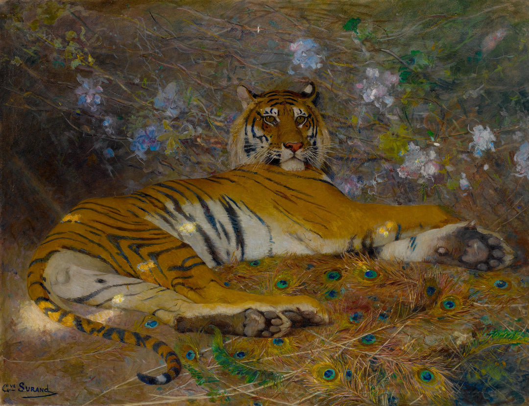 Tigre de l'Annam (c. 1895) by Gustave Surand