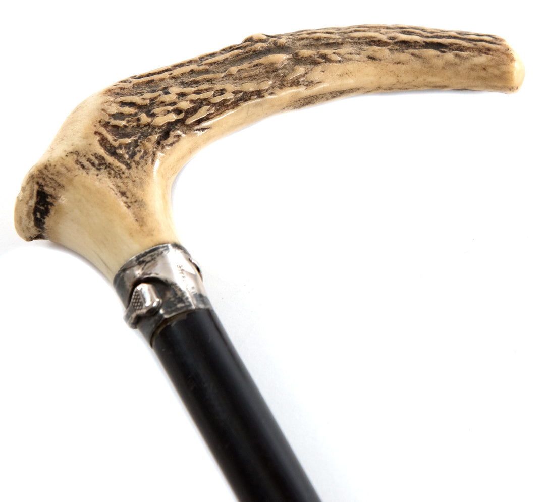 Horn and Ebonized Turned Hardwood Cane