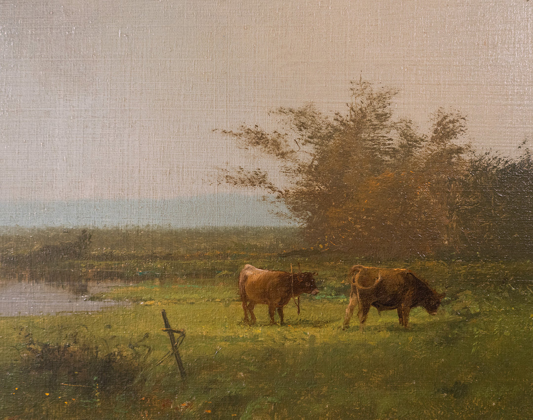 Pond and Cattle by Michael Coleman