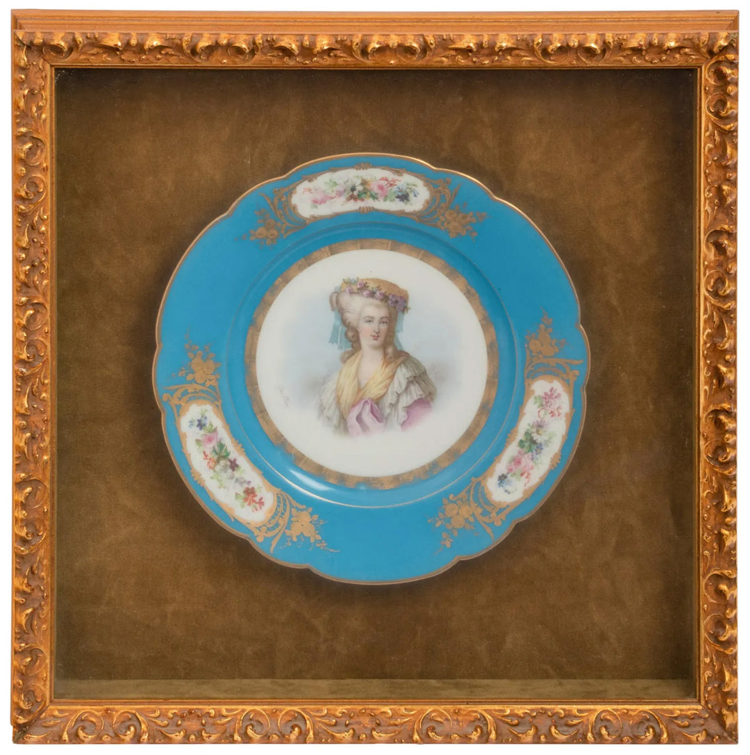 19th Century Collection of Seven Framed Sèvres Porcelain Plates