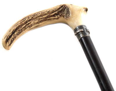 Horn and Ebonized Turned Hardwood Cane