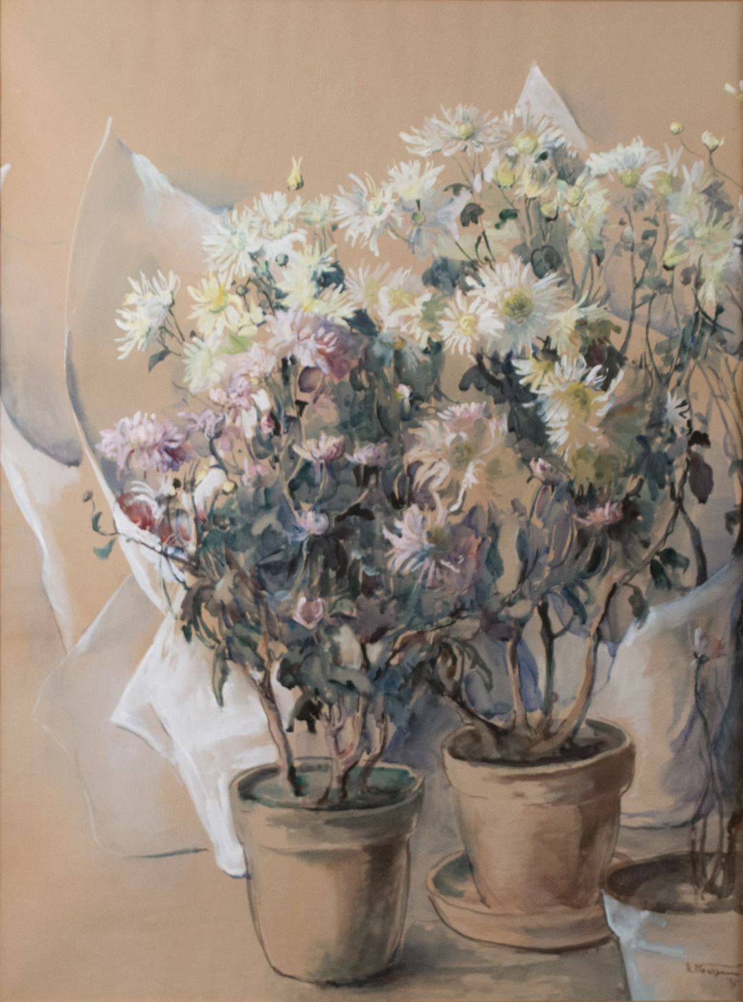 White and Pink Asters (1895) by Elizabeth Nourse